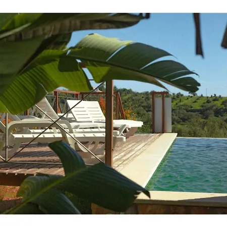 Medronheiras Holiday home *