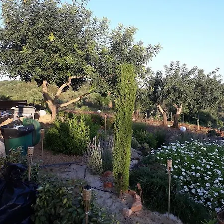 Holiday home Medronheiras *